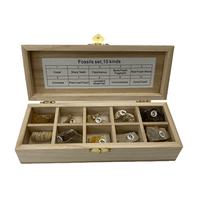 Geological Rock Boxes